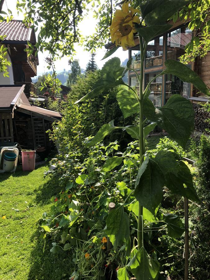 Gaestehaus Lackner Oberau Luaran gambar